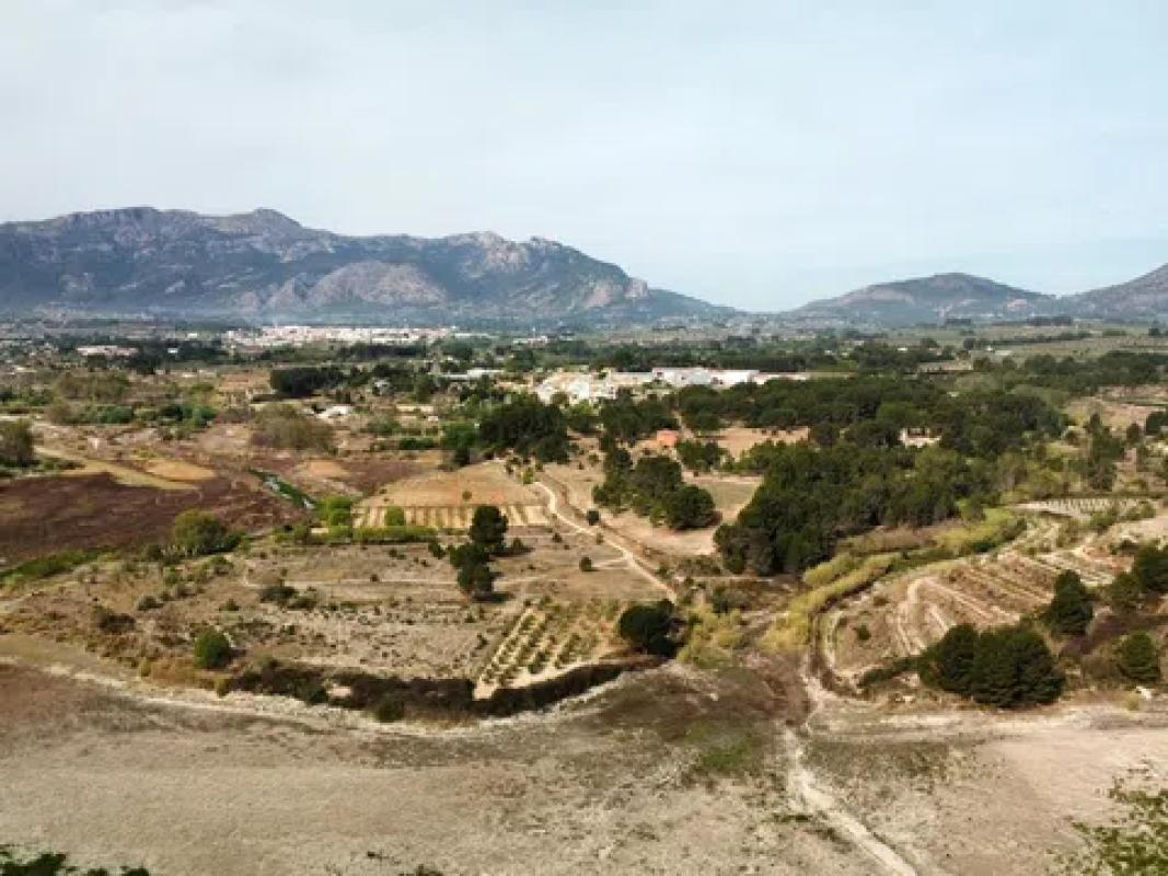 Terreno en venta en Alcocer de Planes, Alicante photo 5