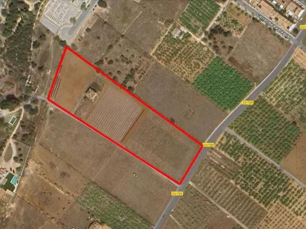 Terreno en venta en Beniarbeig, Alicante photo 3