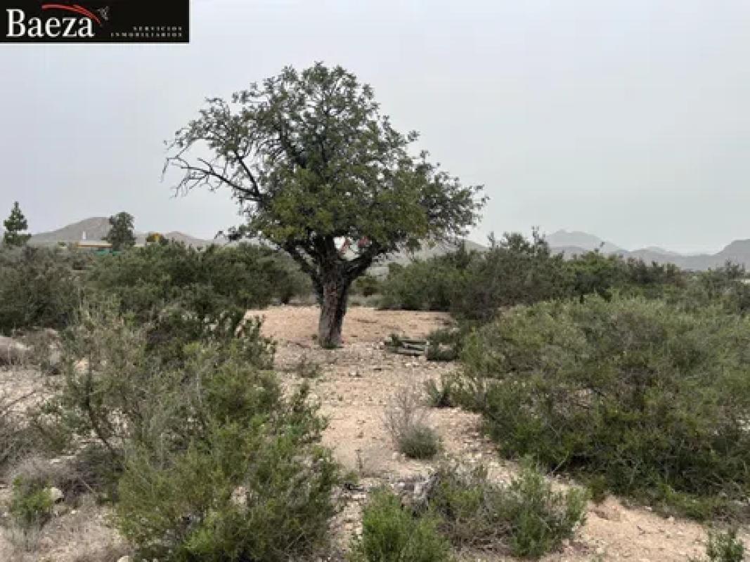 Terreno en venta en Mutxamel, Alicante photo 4