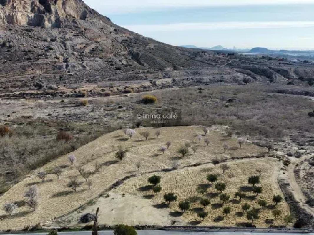 Land for sale in Rebolledo, Alicante photo 2