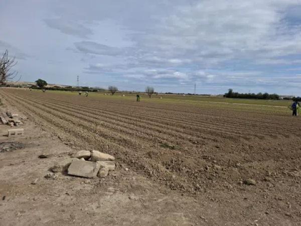 Terreno en Partoda Almarjal photo 2