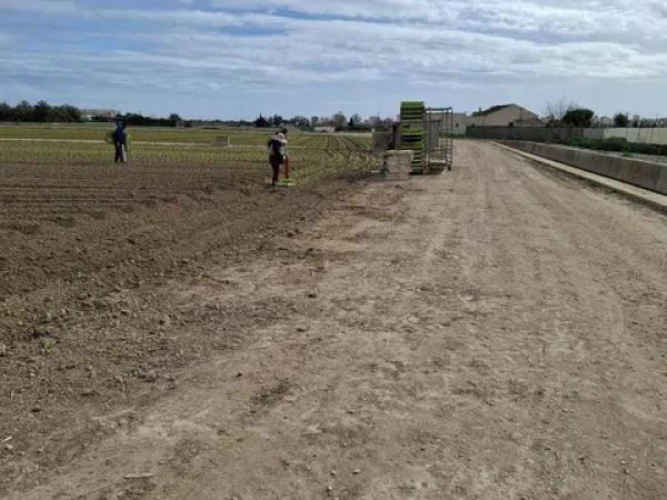 Terreno en Partoda Almarjal photo 4