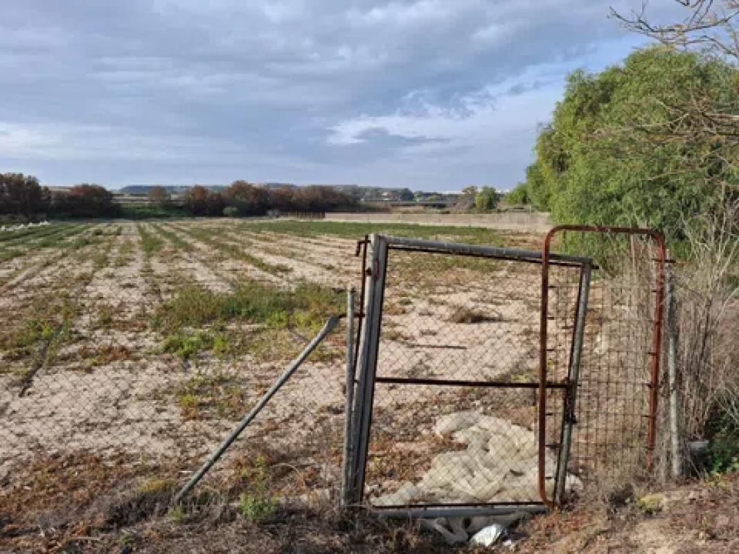 Terreno en venta en Guardamar del Segura, Alicante photo 3