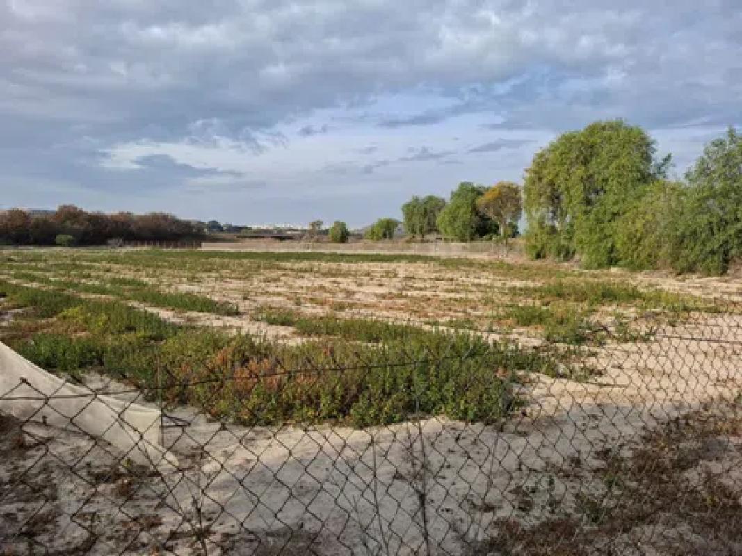 Terreno en venta en Guardamar del Segura, Alicante photo 4