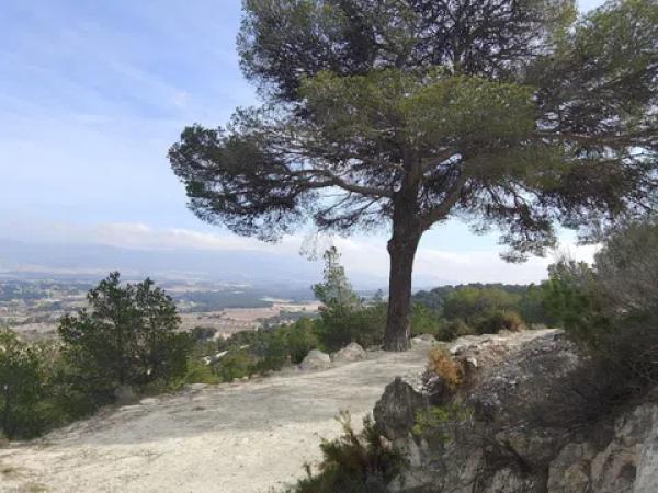 Terreno en Castalla photo 1