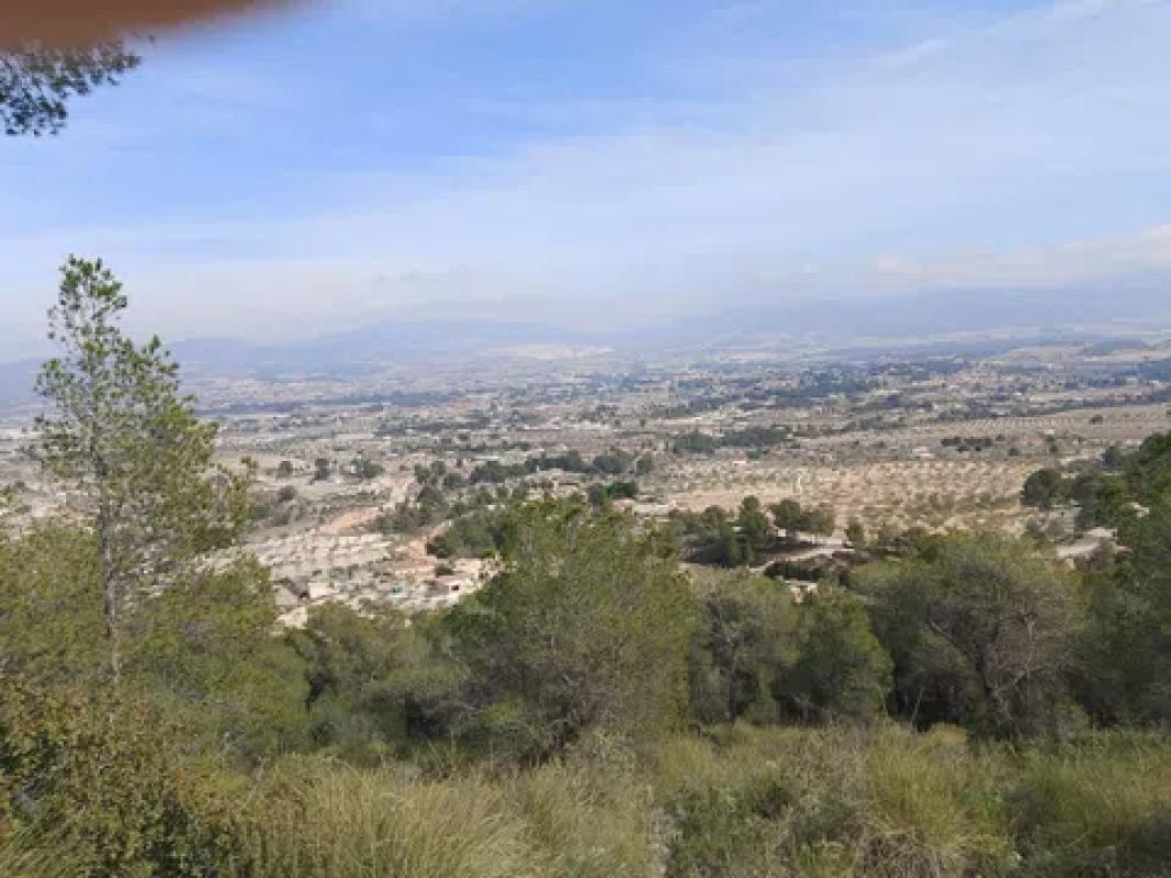 Terreno en venta en Castalla, Alicante photo 2