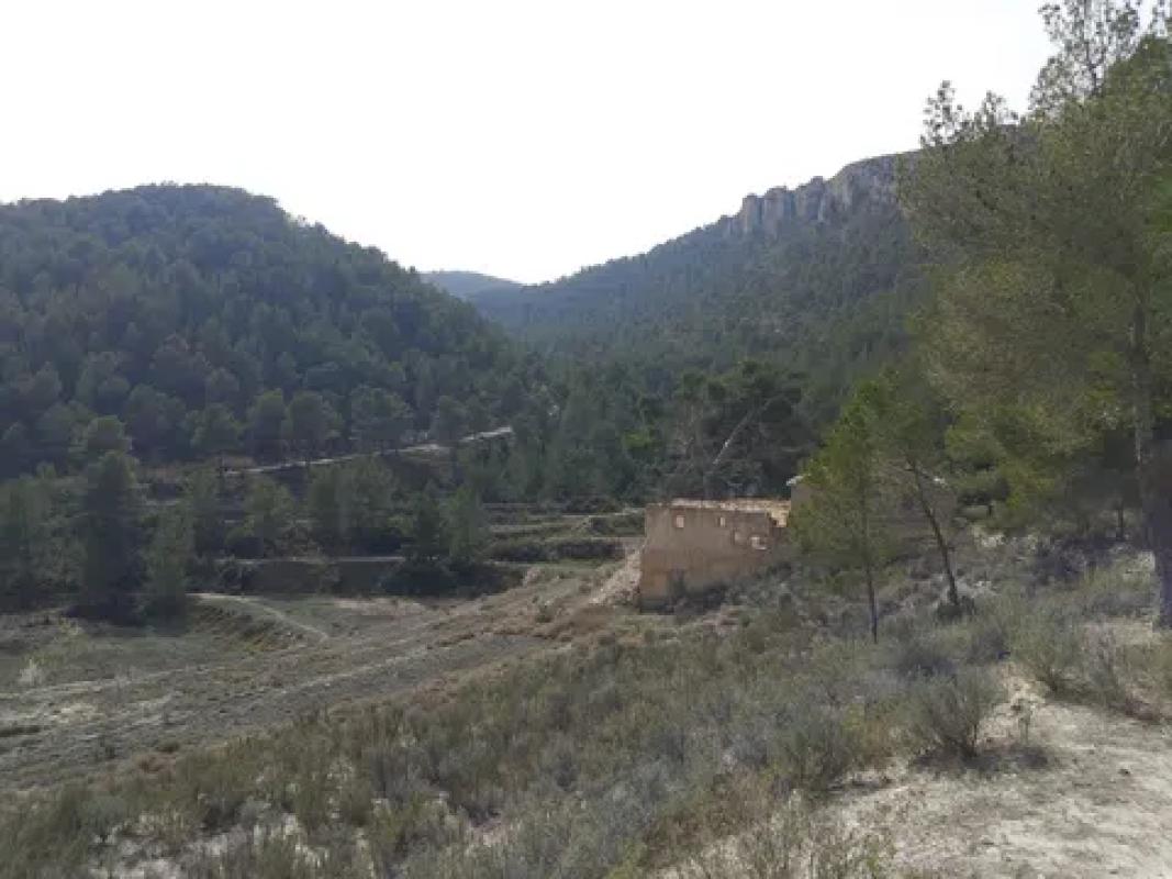 Terreno en venta en Castalla, Alicante photo 3