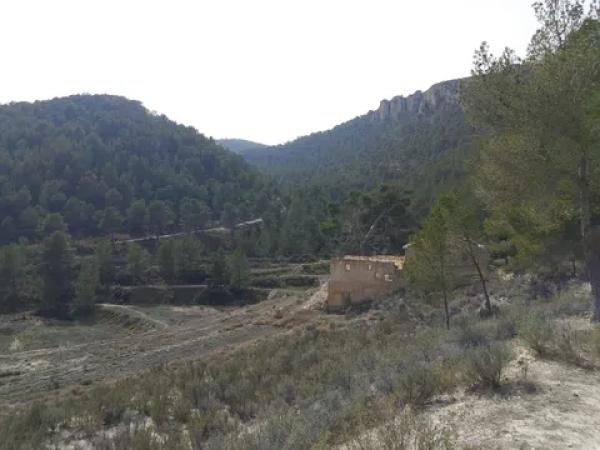 Terreno en Castalla photo 3
