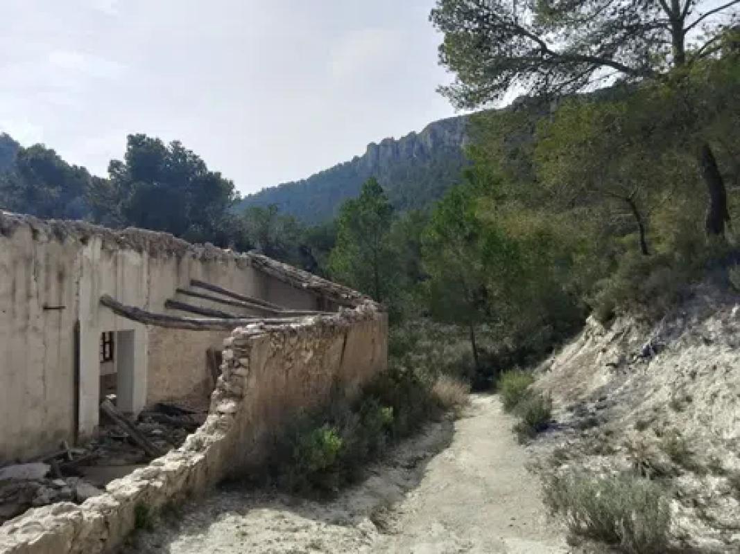 Terreno en venta en Castalla, Alicante photo 4