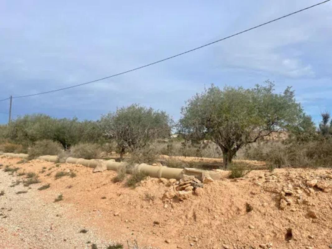 Terreno en venta en Elche / Elx, Alicante photo 3