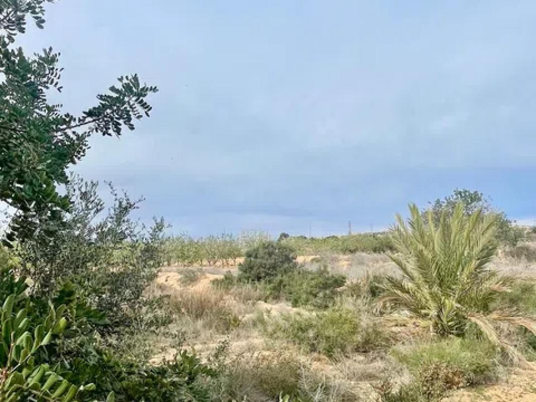 Terreno en venta en Elche / Elx, Alicante photo 4