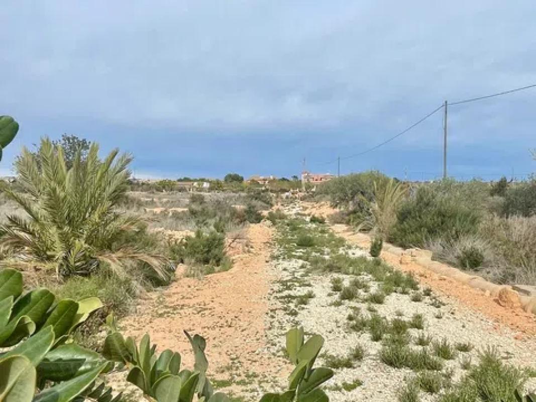 Terreno en venta en Elche / Elx, Alicante photo 5