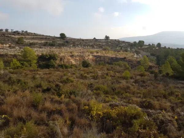 Terreno en Teulada photo 2