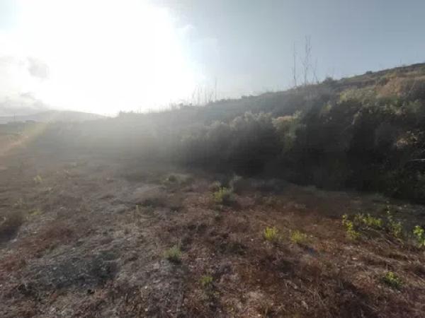 Terreno en Teulada photo 4