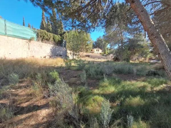 Terreno en seccion g s/n photo 3