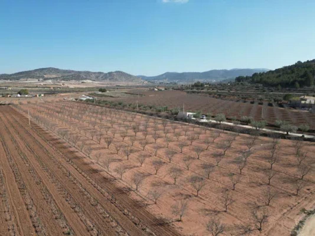 Terreno en venta en Pinoso, Alicante photo 2