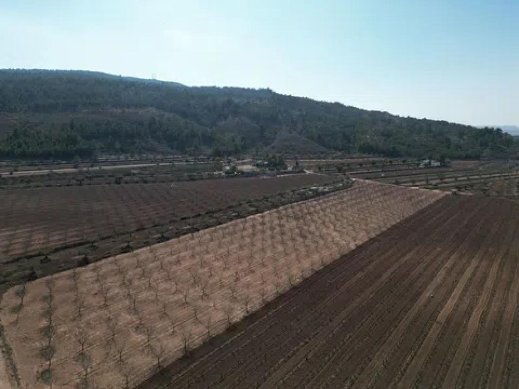 Terreno en venta en Pinoso, Alicante photo 4