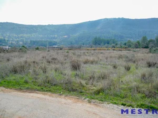 Terreno en Jalón photo 2
