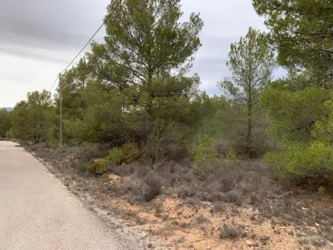Terreno en venta en Ibi, Alicante photo 3