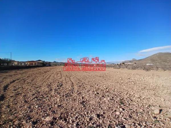 Terreno en Hondón de los Frailes photo 1