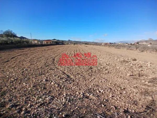 Terreno en Hondón de los Frailes thumbnail 2