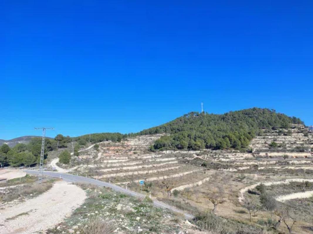 Land for sale in Torremanzanas, Alicante photo 1