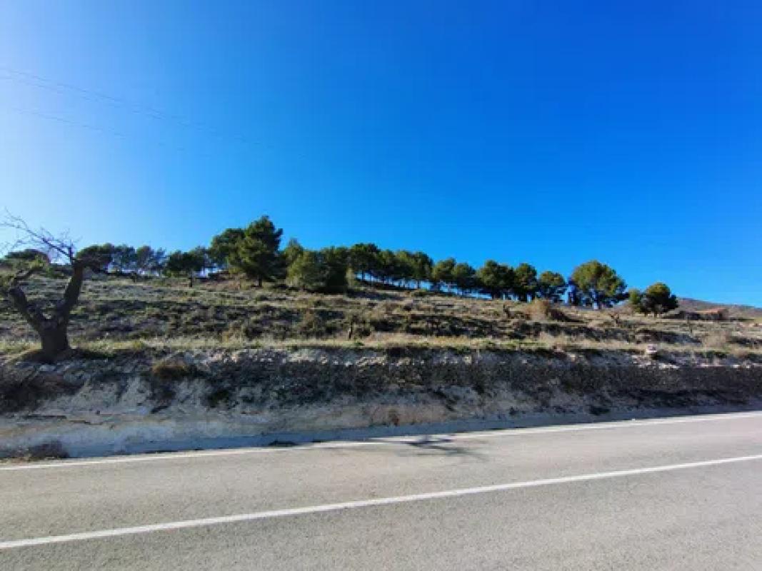 Land for sale in Torremanzanas, Alicante photo 2