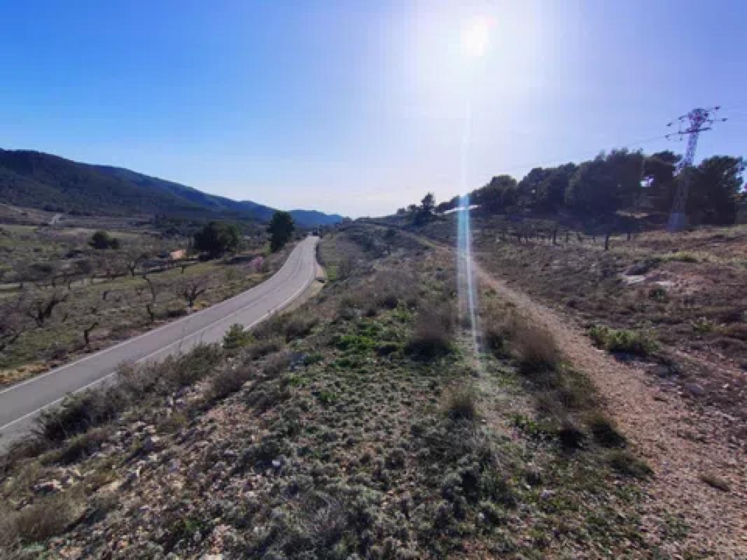 Land for sale in Torremanzanas, Alicante photo 3