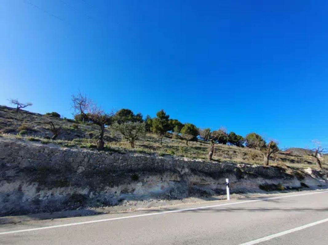 Land for sale in Torremanzanas, Alicante photo 4