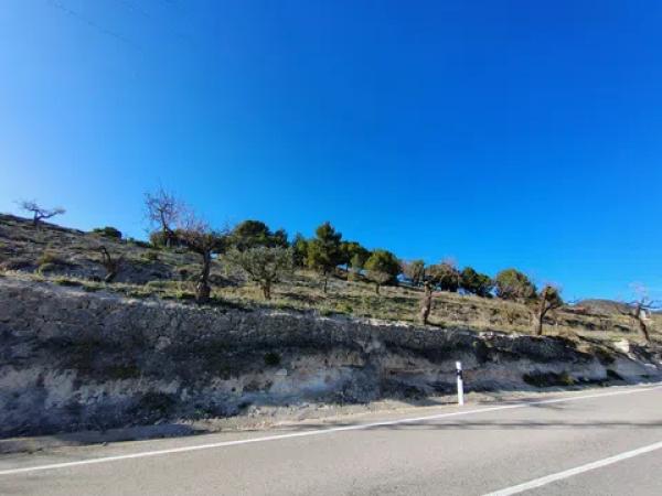 Terreno en Partida Alcoies, 52 photo 4
