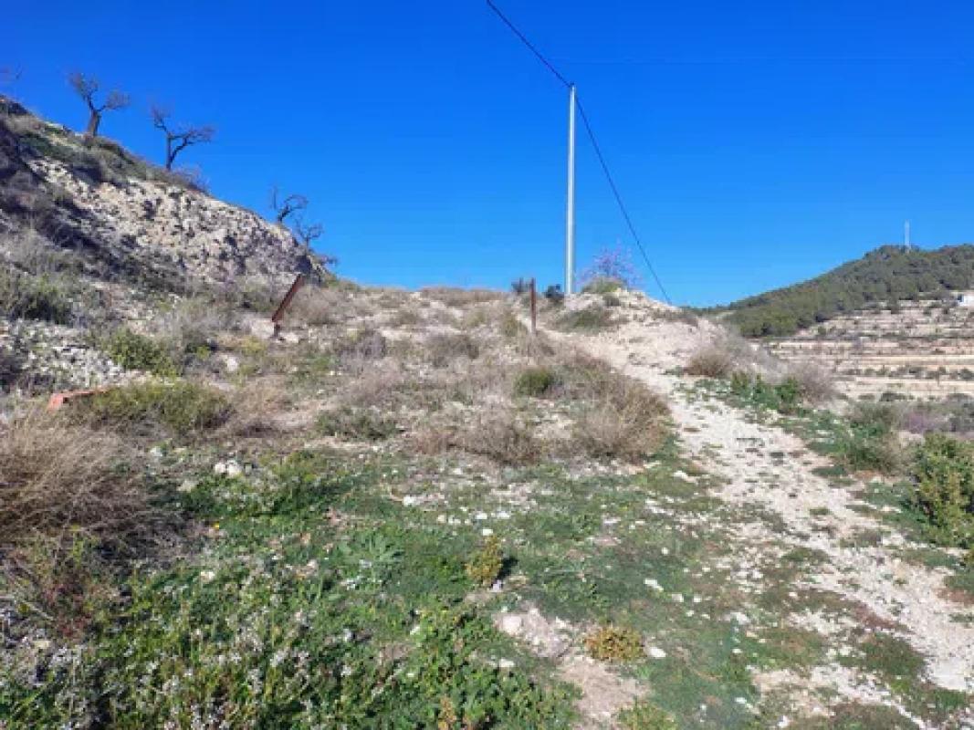 Land for sale in Torremanzanas, Alicante photo 5