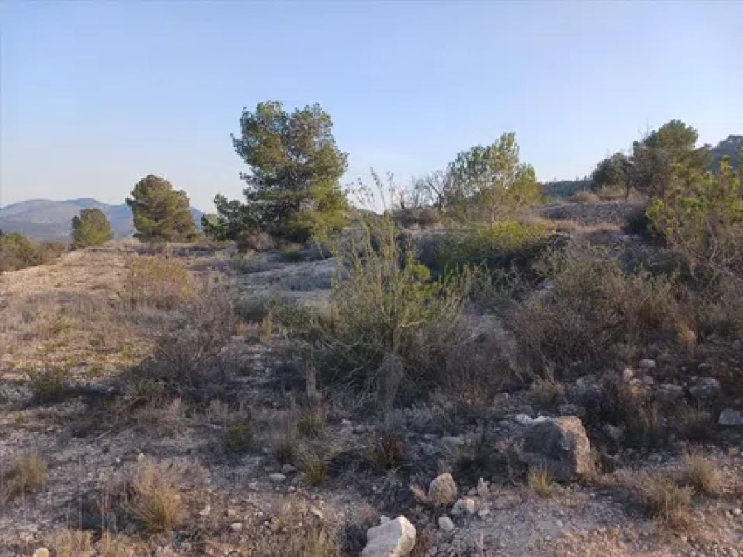 Działka na sprzedaż w Monowar, Alicante photo 2