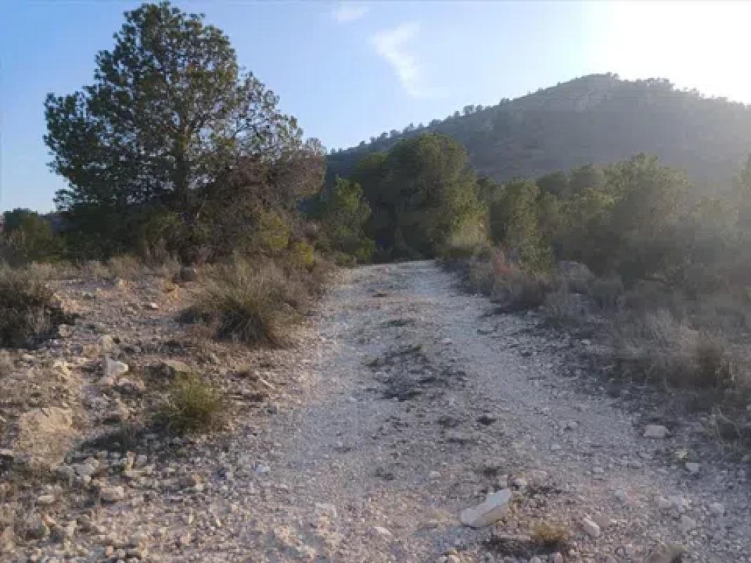 Działka na sprzedaż w Monowar, Alicante photo 3