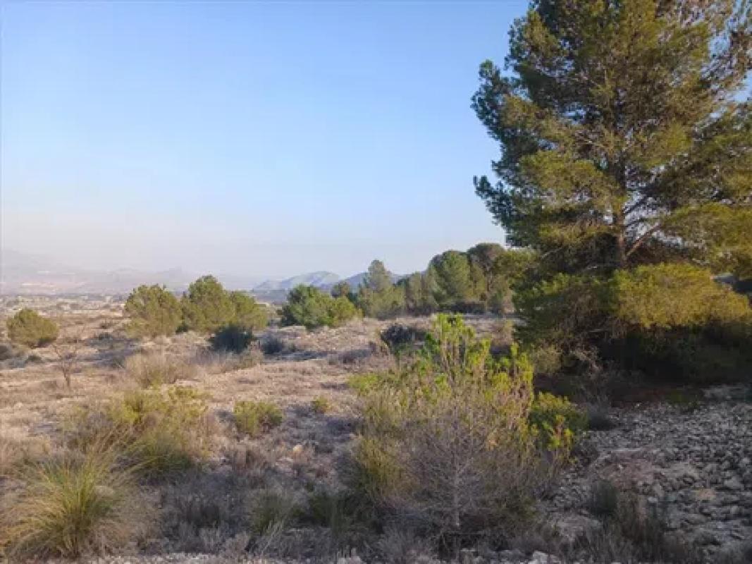 Działka na sprzedaż w Monowar, Alicante photo 4