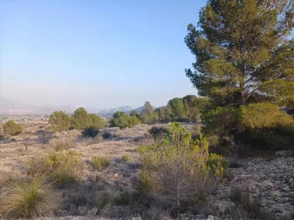 Terreno en Vía photo 4