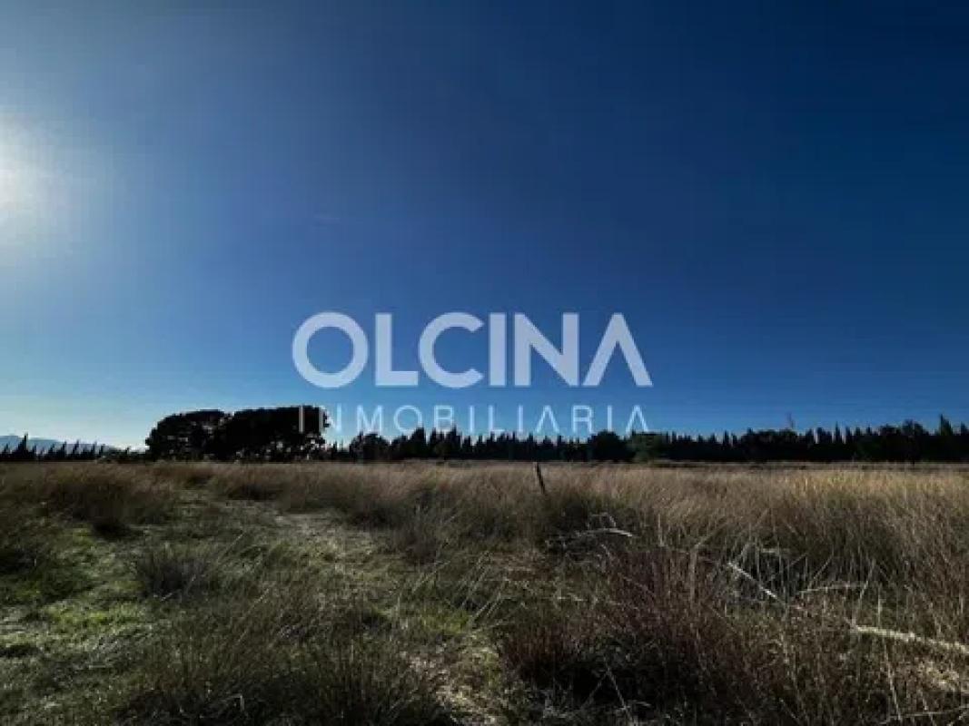 Land for sale in Castalla, Alicante photo 3