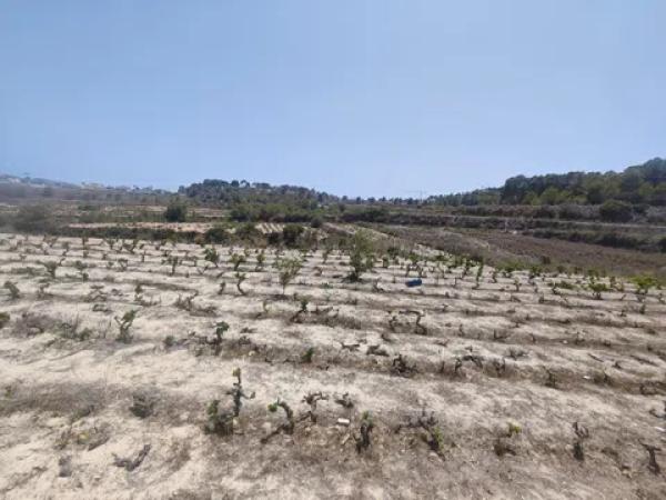 Terreno en Teulada photo 2