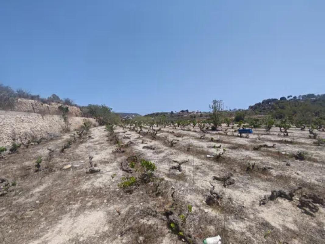 Land for sale in Teulada, Alicante photo 3