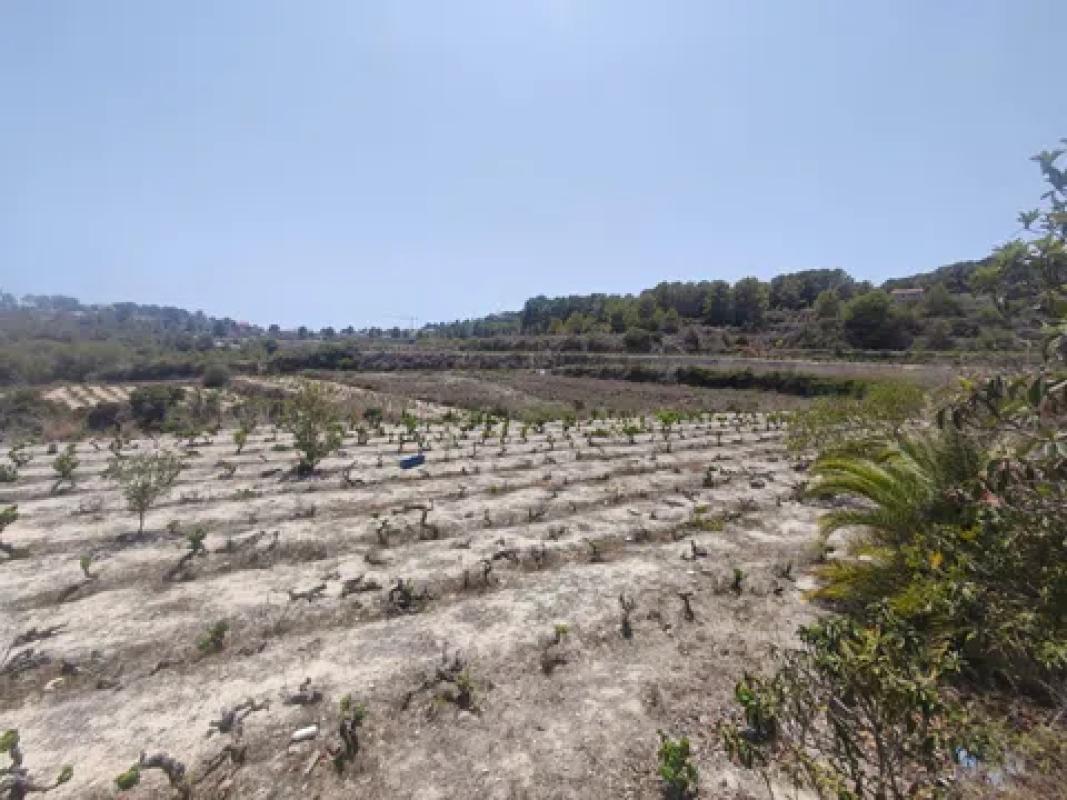 Land for sale in Teulada, Alicante photo 4