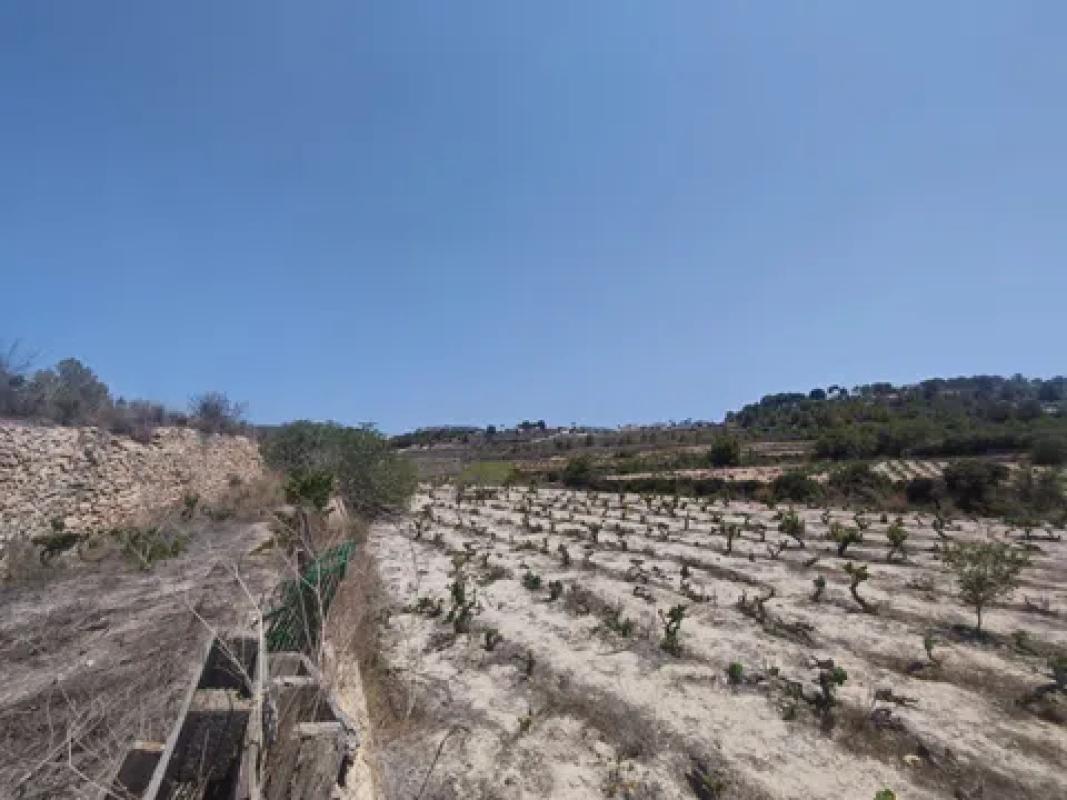 Land for sale in Teulada, Alicante photo 5
