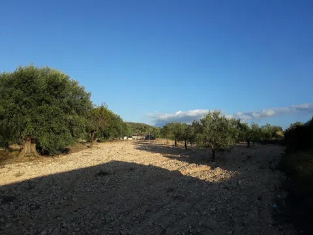 Działka na sprzedaż w Saks, Alicante photo 5