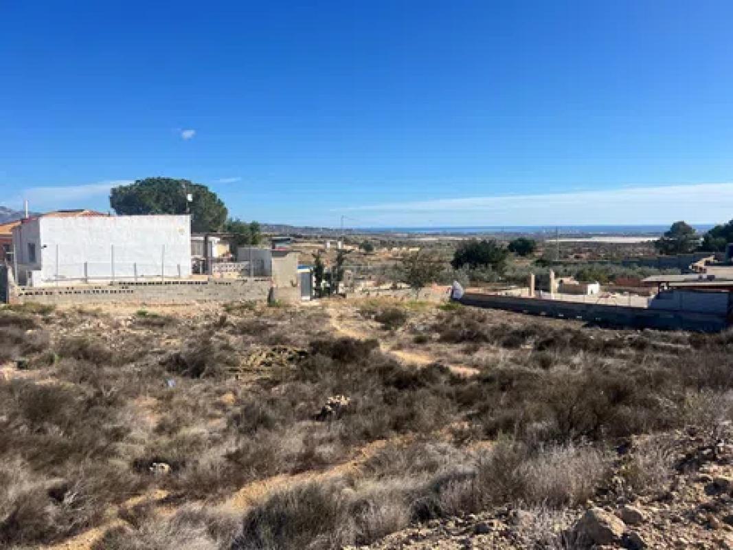 Terreno en venta en Mutxamel, Alicante photo 3