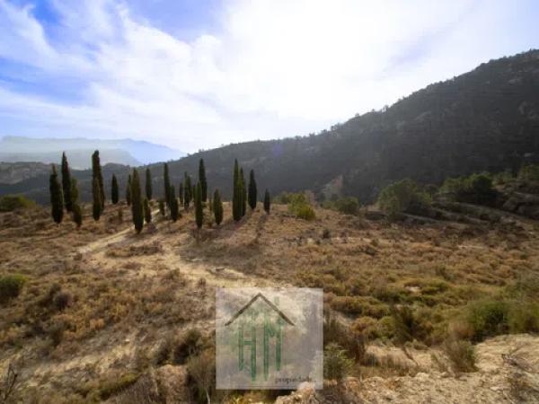 Terreno en Jijona / Xixona photo 4