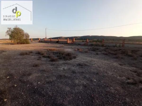 Terreno en calle de la Torre s/n photo 4