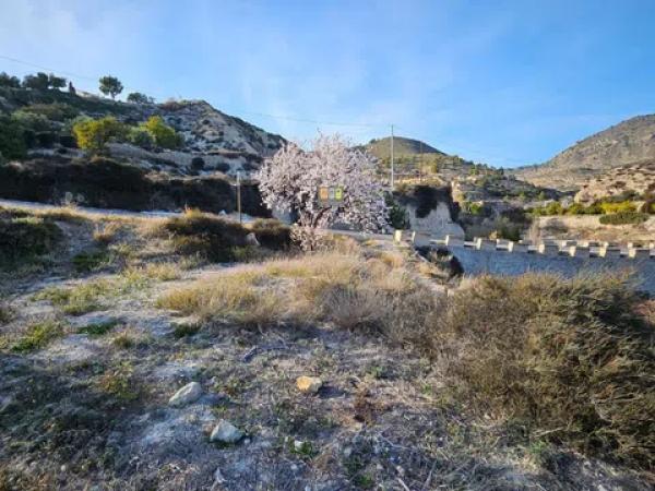 Terreno en Relleu photo 4