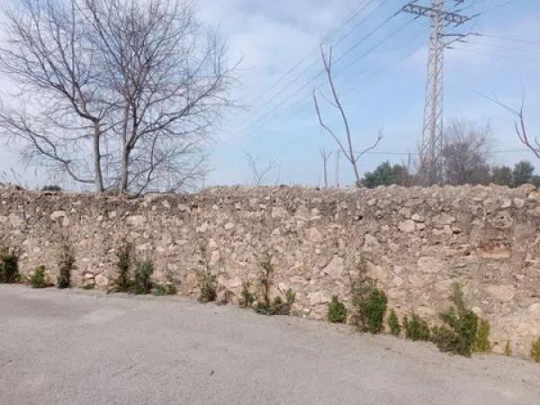 Terreno en Huertas, 2 Polgonoparcela photo 2
