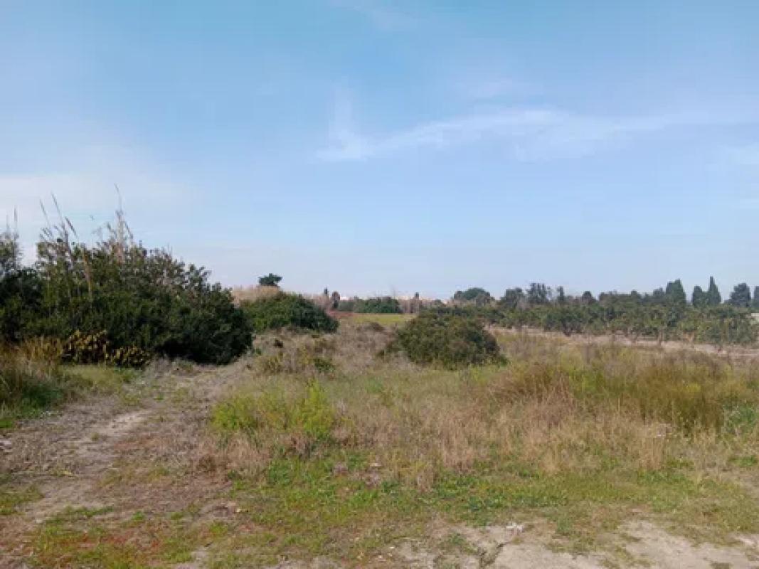 Terreno en venta en Els Poblets, Alicante photo 3