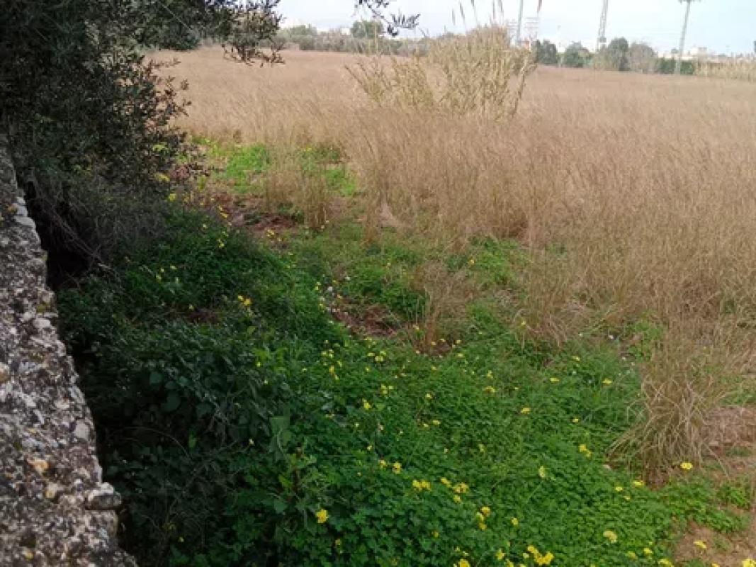 Terreno en venta en Els Poblets, Alicante photo 5