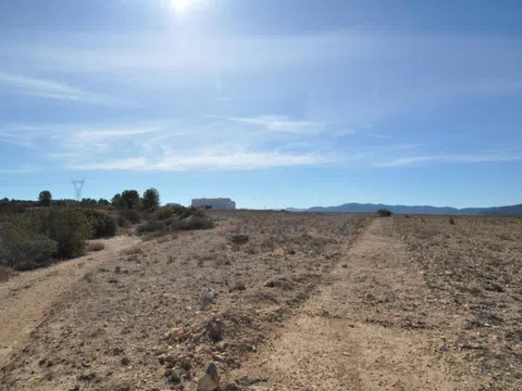 Land for sale in Monovar, Alicante photo 1
