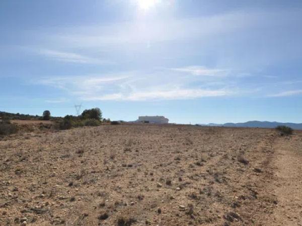 Terreno en Monovar photo 3